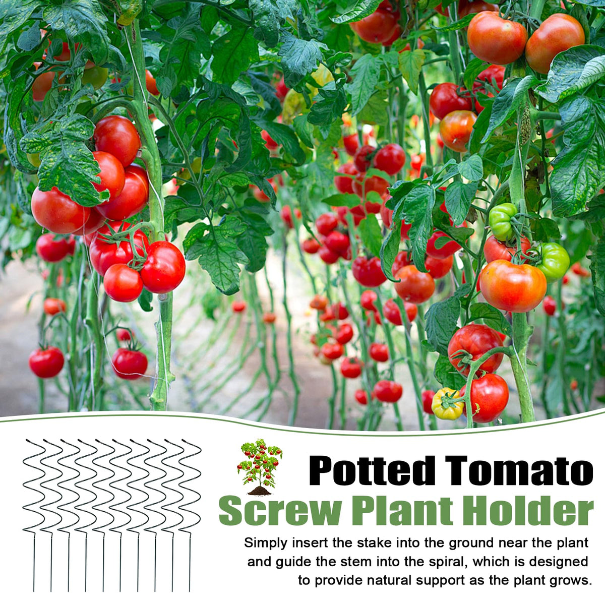 Wshxjzyay Tomato Twist Stake spiral is suitable for beans, peas, and flowering vines.