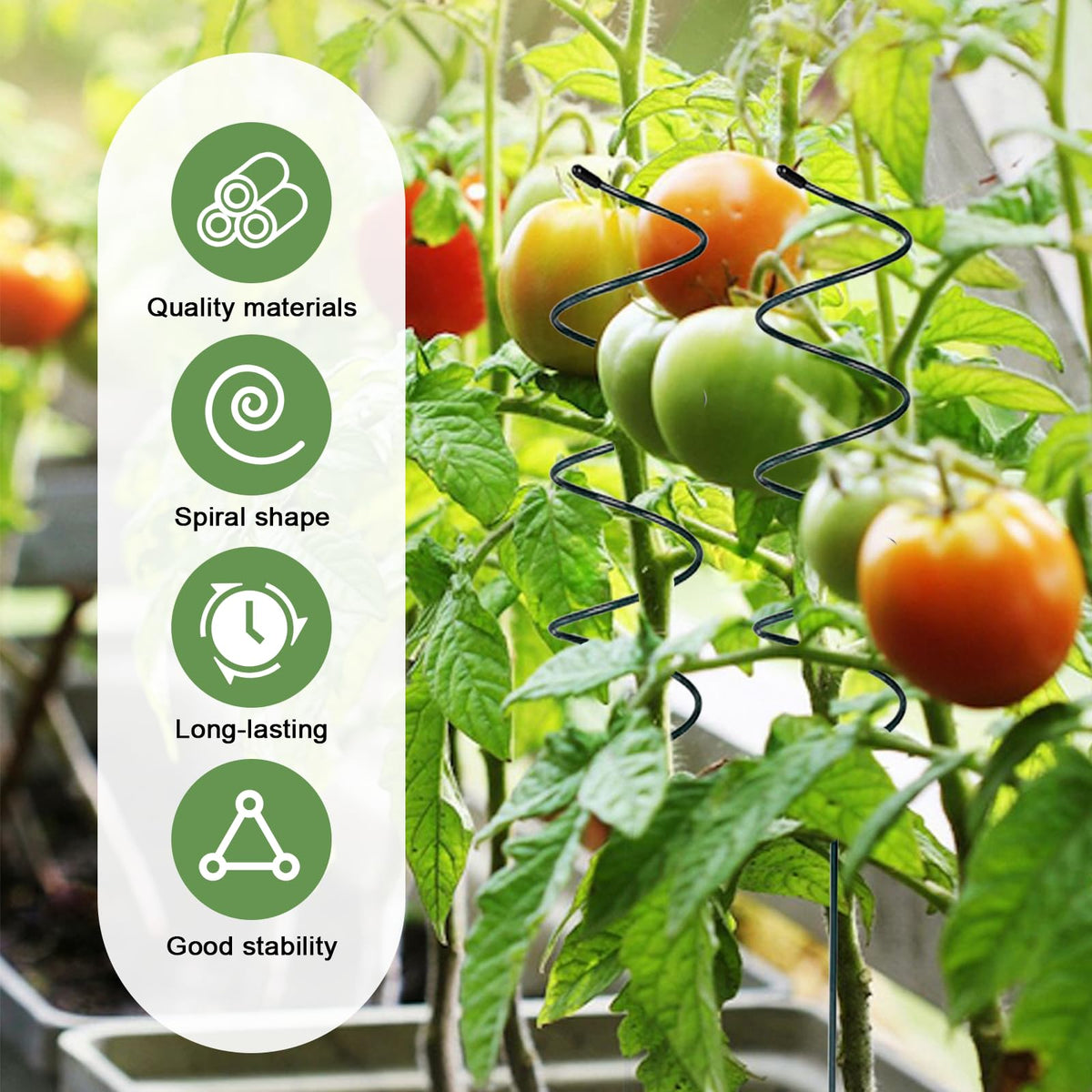 Wshxjzyay Tomato Twist Stake keeps stems off the ground for neat harvests.