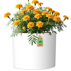 WSMKSZ 10-inch round pot with drainage for healthy root airflow