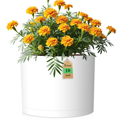 WSMKSZ 10-inch round pot with drainage for healthy root airflow