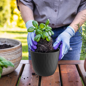 WSMKSZ pot with drainage holes and saucer for tidy water management