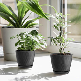 WSMKSZ gift idea pot set for gardening enthusiasts