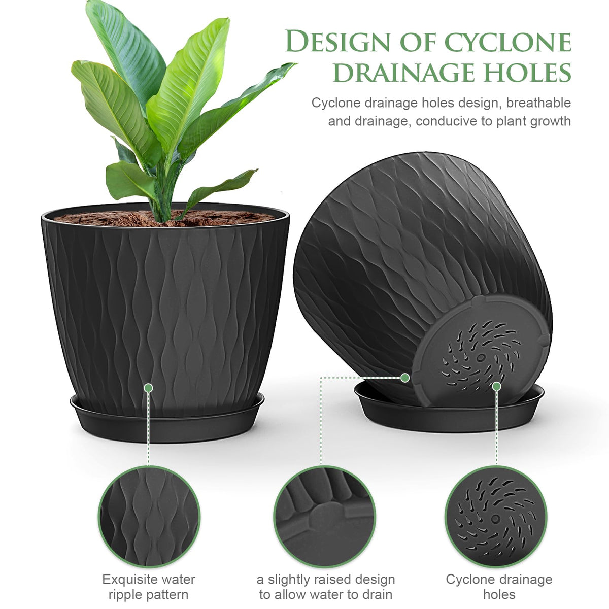 WSMKSZ ripple green pot blending with foliage and easy care