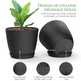 WSMKSZ ripple green pot blending with foliage and easy care