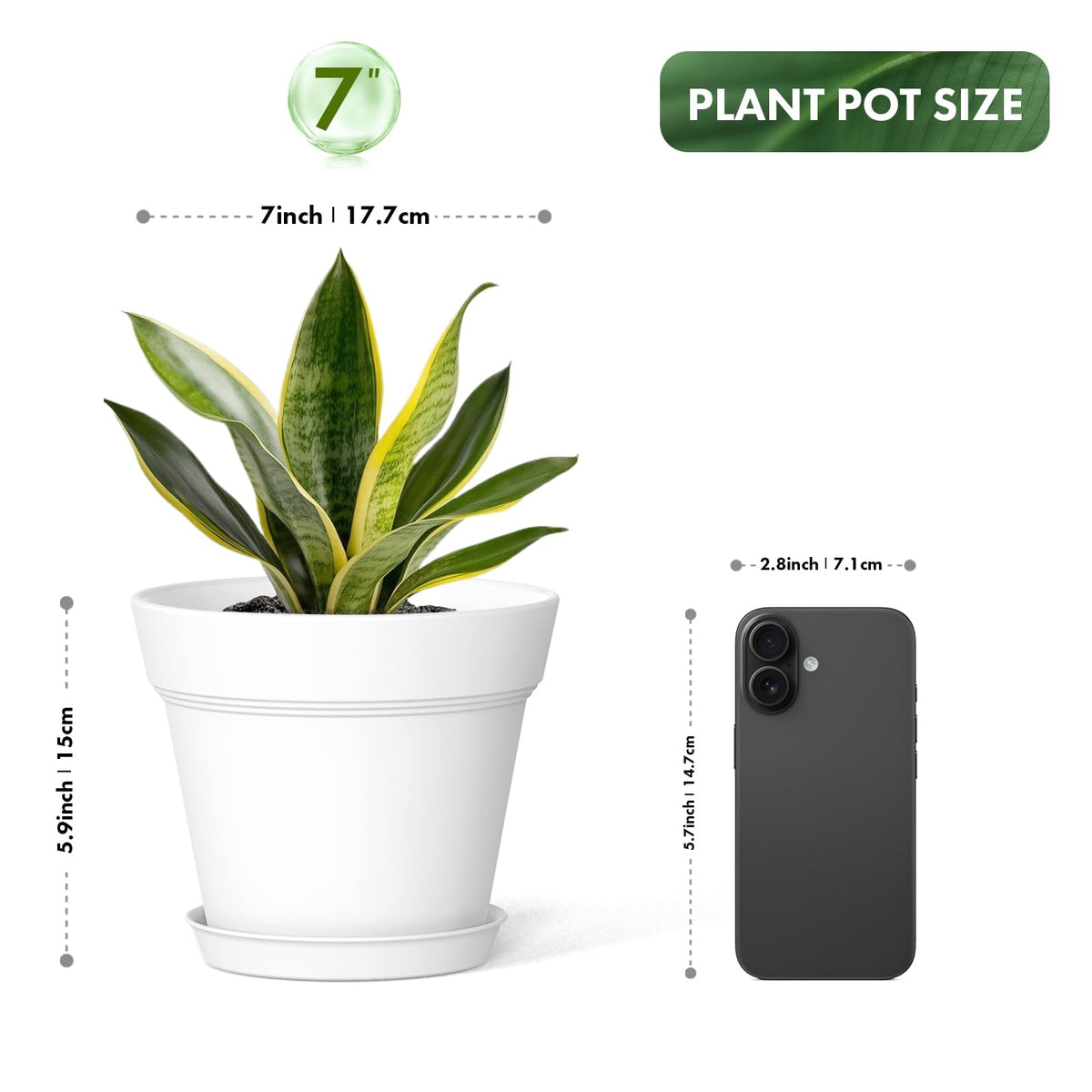 WSMKSZ 7inch pot with attached saucer, keeping surfaces clean and tidy.