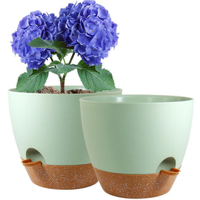 WSMKSZ 8-inch self-watering pot top view with dual reservoir for steady moisture.