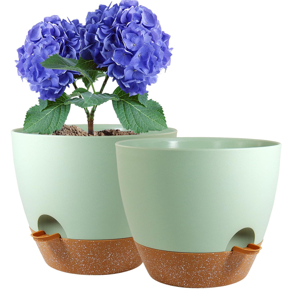 WSMKSZ 8-inch self-watering pot top view with dual reservoir for steady moisture.