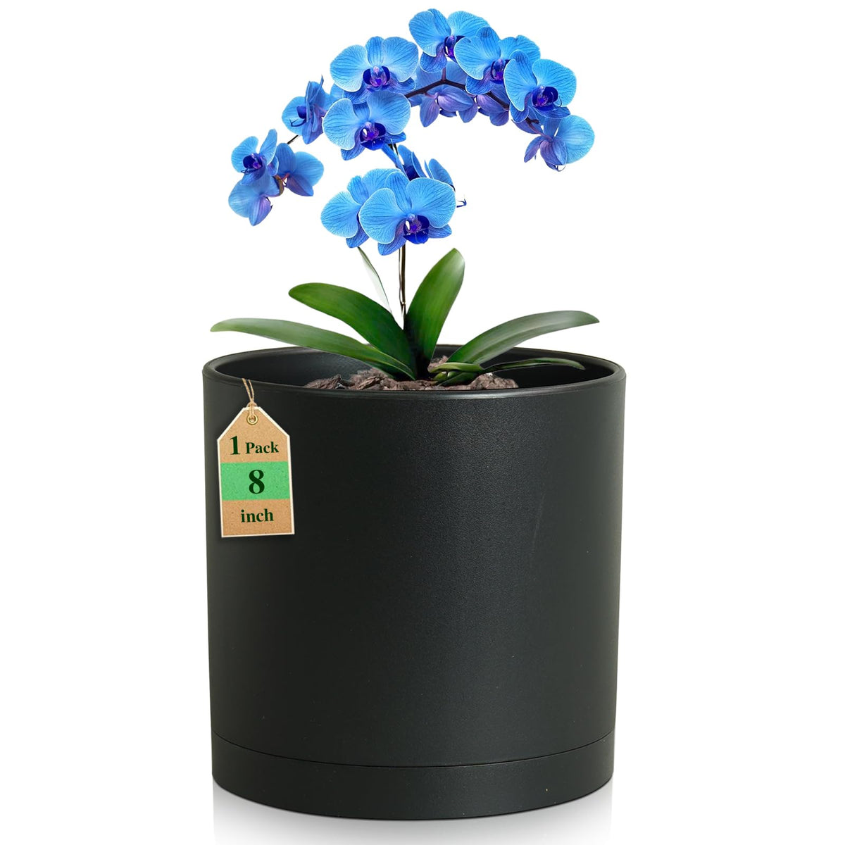 WSMKSZ 8-inch deep cylinder planter for versatile indoor plants