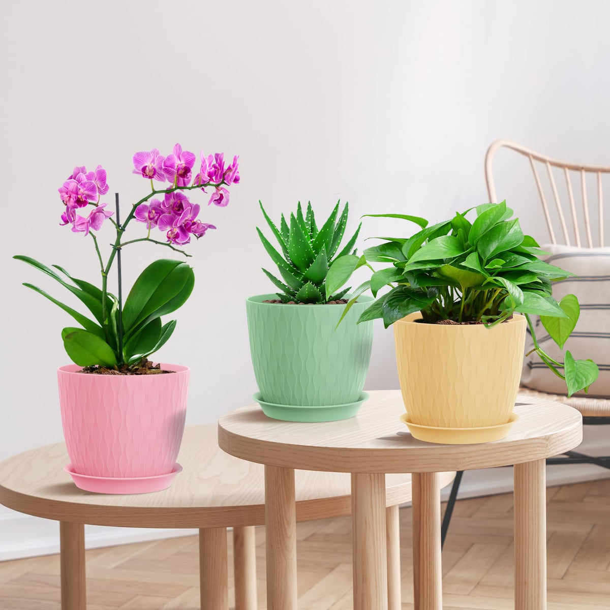 WSMKSZ balcony-ready planters brighten window sills with color.