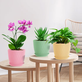 WSMKSZ balcony-ready planters brighten window sills with color.