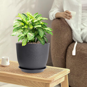 WSMKSZ 10-inch black planter, lightweight and versatile for interiors