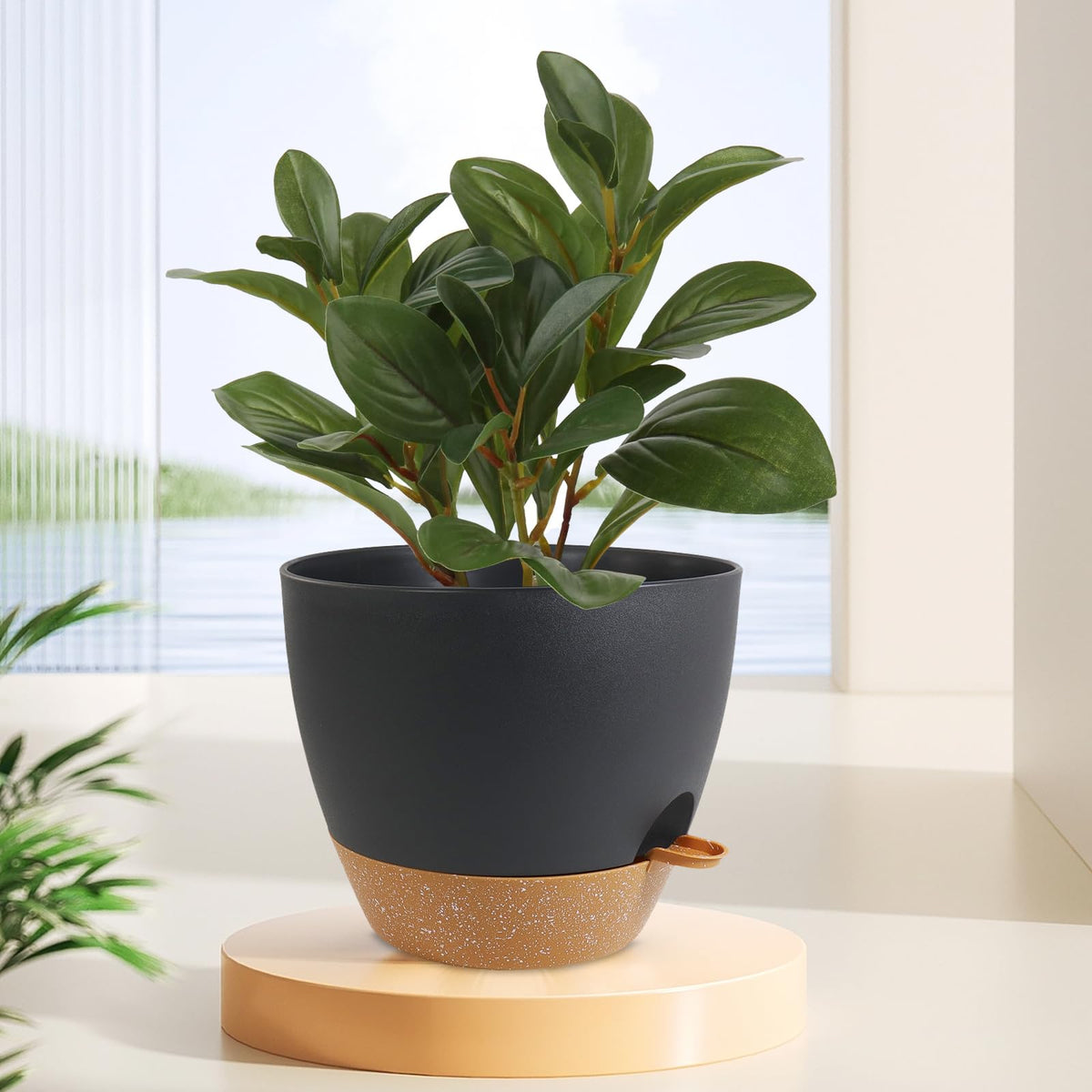 WSMKSZ black and brown color option complements any decor.