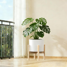 WSMKSZ cylindrical planter in matte white enhances any room or patio