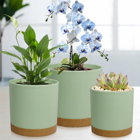 WSMKSZ 4-inch frosted pot, lightweight yet sturdy for desks.