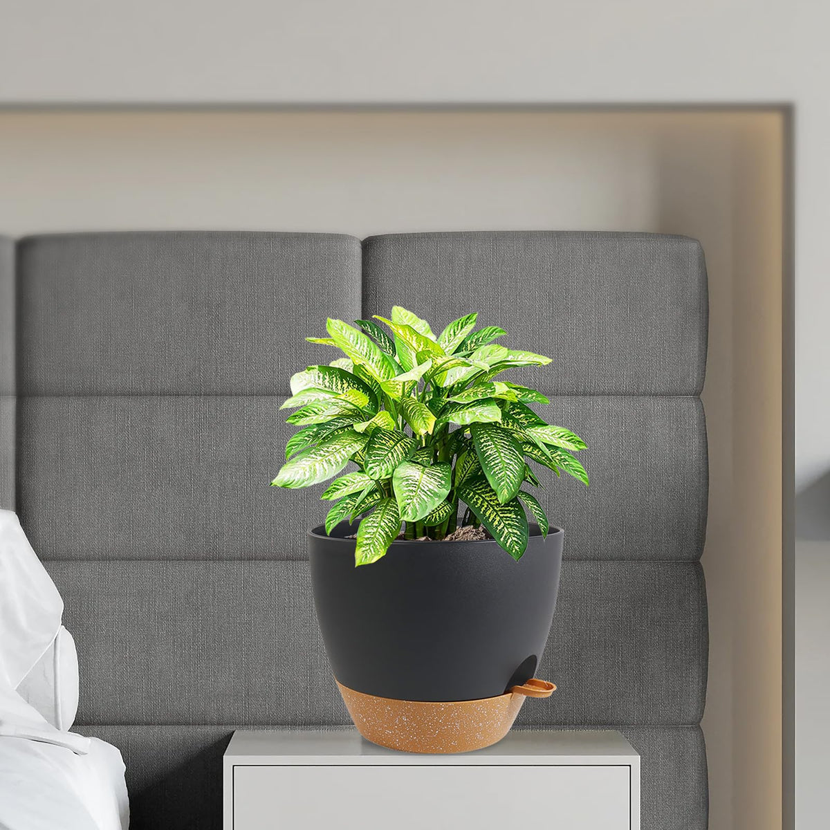 WSMKSZ drainage holes prevent overwatering and support healthy roots.