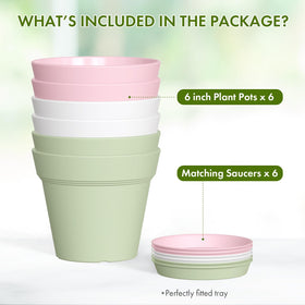 WSMKSZ durable lightweight planter built for long-term indoor and outdoor use.
