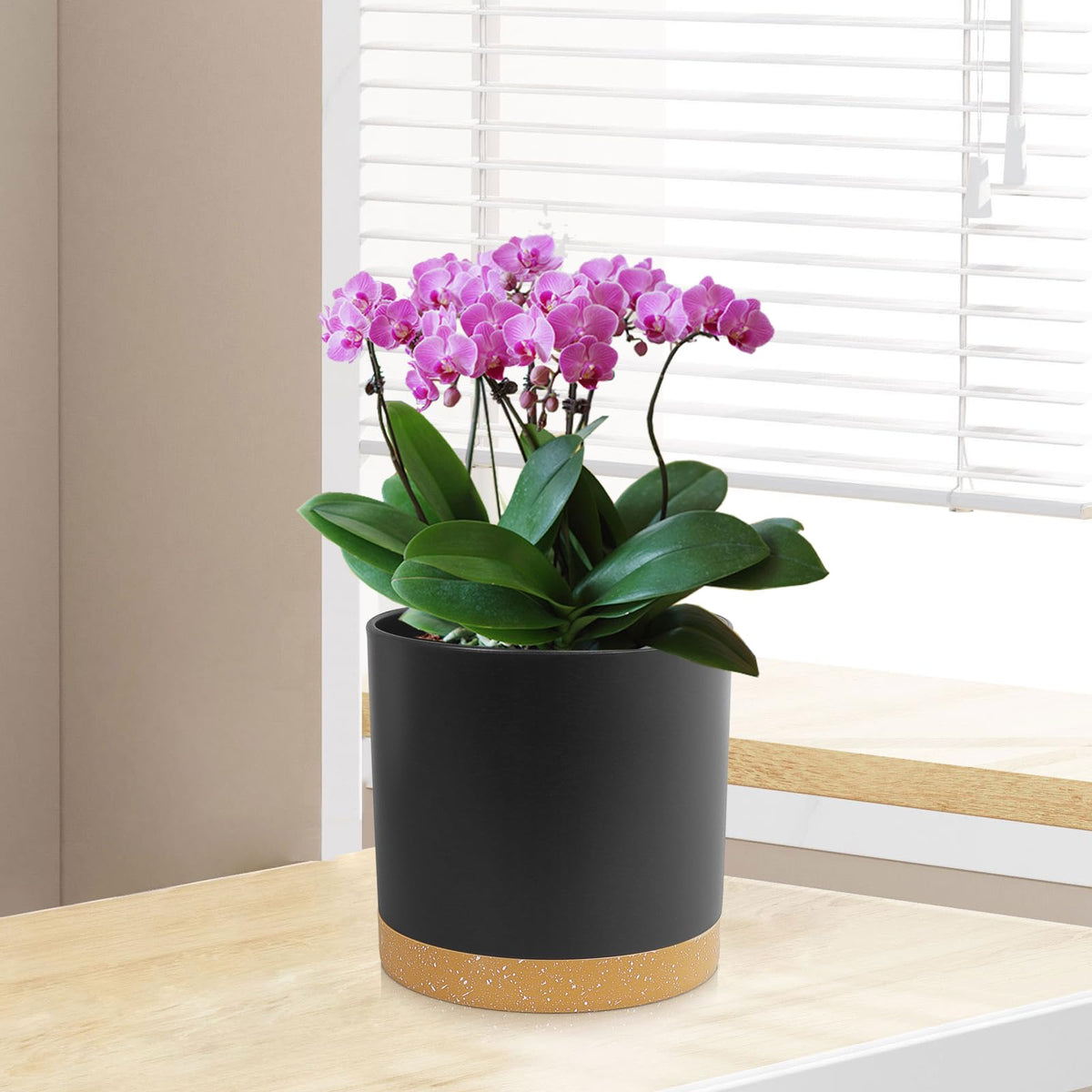 WSMKSZ eco-friendly polypropylene pot resists scratches and deformation.