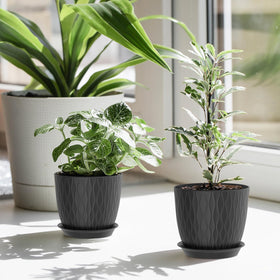 WSMKSZ gift-ready ripple pot set adds color and charm.