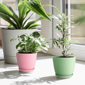 Gift-ready WSMKSZ garden pots for gardening lovers.
