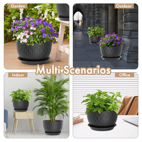 WSMKSZ gift-ready design suits Easter and other plant gifting occasions