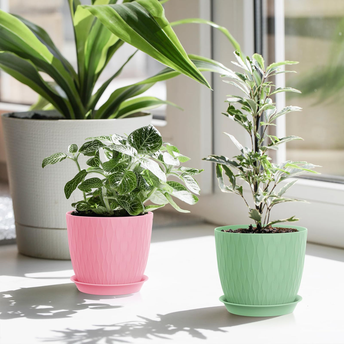 WSMKSZ gift-ready plant pots for gardening lovers.