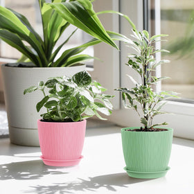 WSMKSZ gift-ready plant pots for gardening lovers.