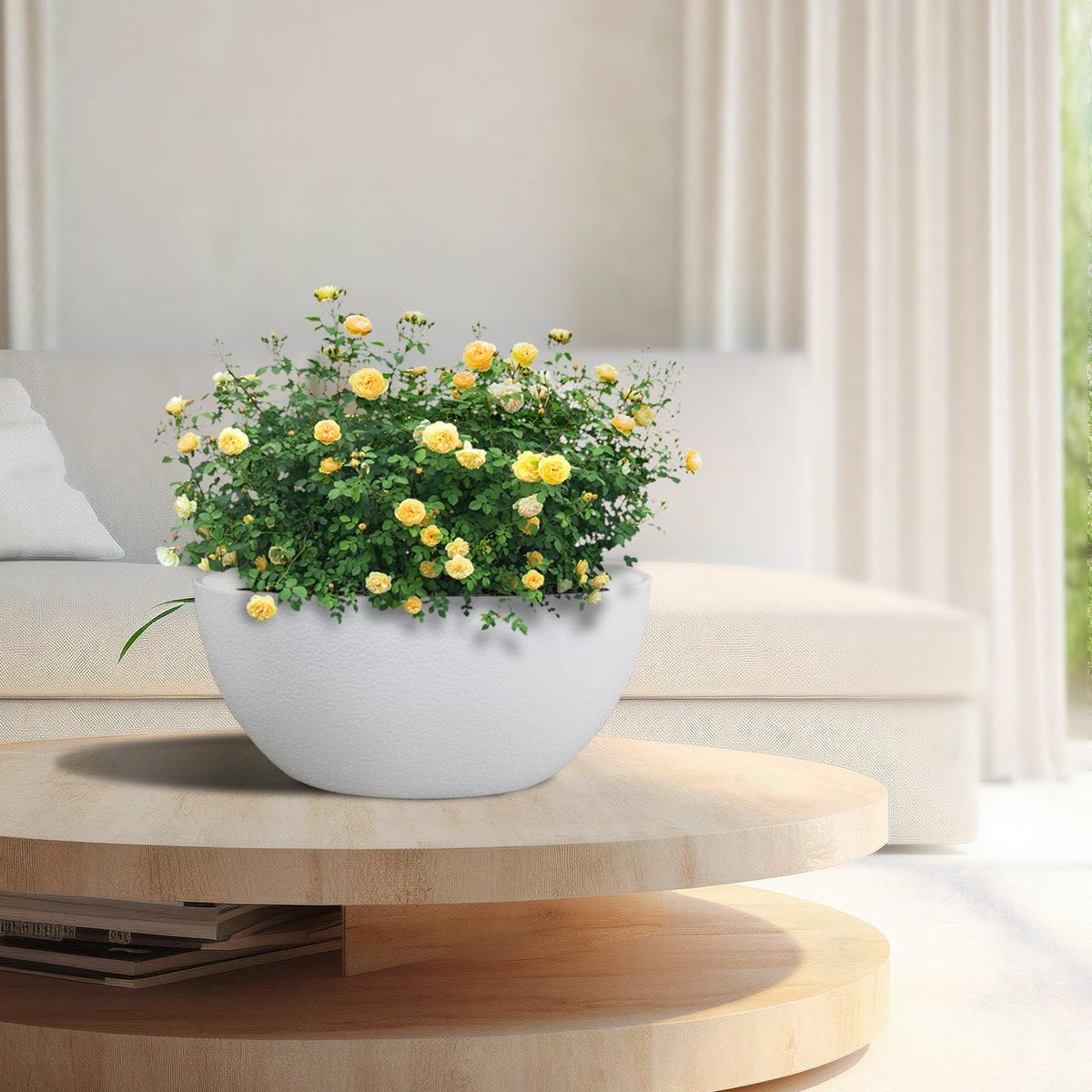 WSMKSZ gift-ready planters brighten porch walkways and indoor decor