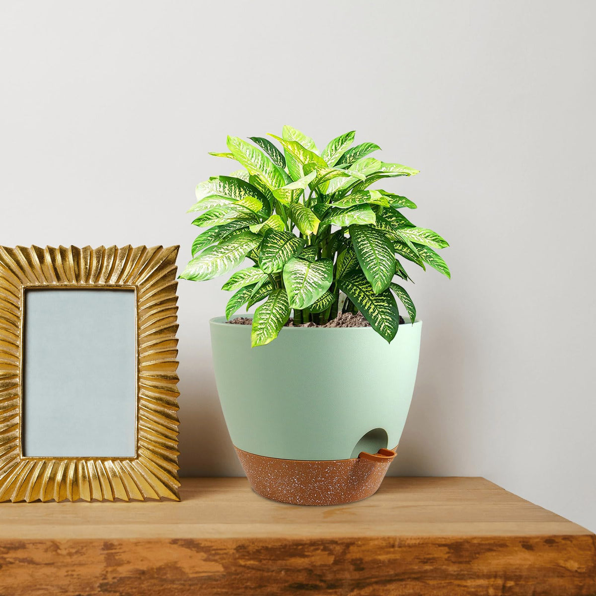 WSMKSZ dual-pack self-watering planters support low-maintenance plant care.
