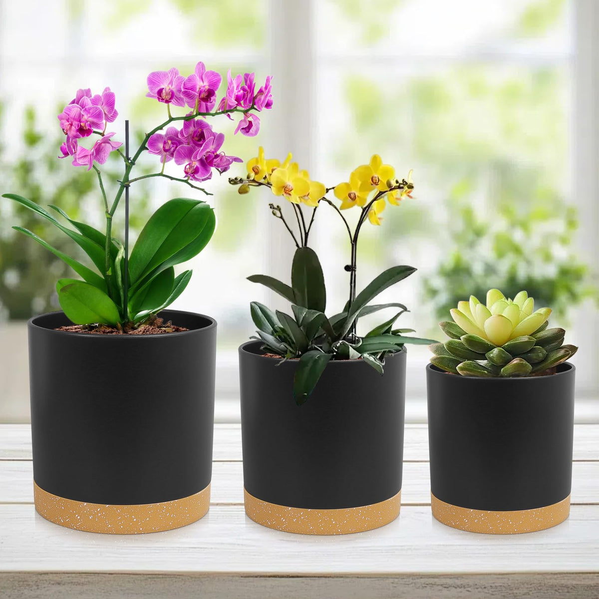 WSMKSZ cylindrical pots for indoor and outdoor decor, elevating spaces with clean lines.