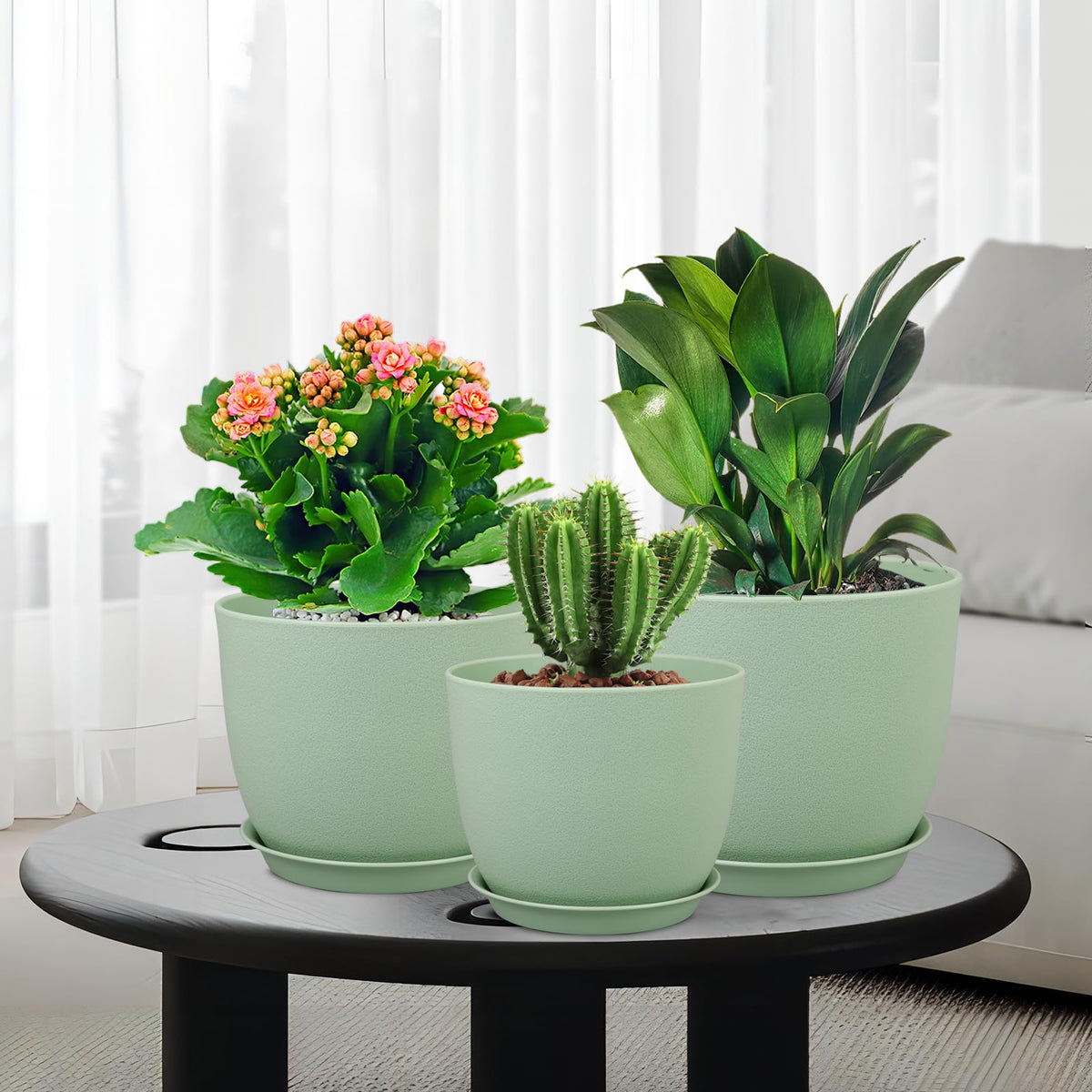 WSMKSZ indoor-outdoor plant pots for versatile placement.