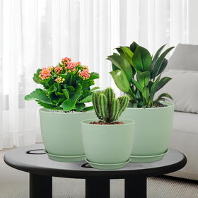 WSMKSZ indoor-outdoor plant pots for versatile placement.