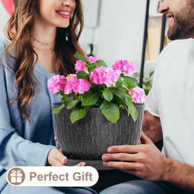 WSMKSZ 12-inch pot ideal for larger indoor plants and garden displays