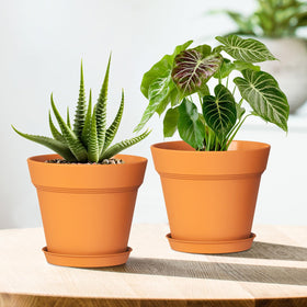 WSMKSZ versatile pots for indoor and outdoor planting spaces.