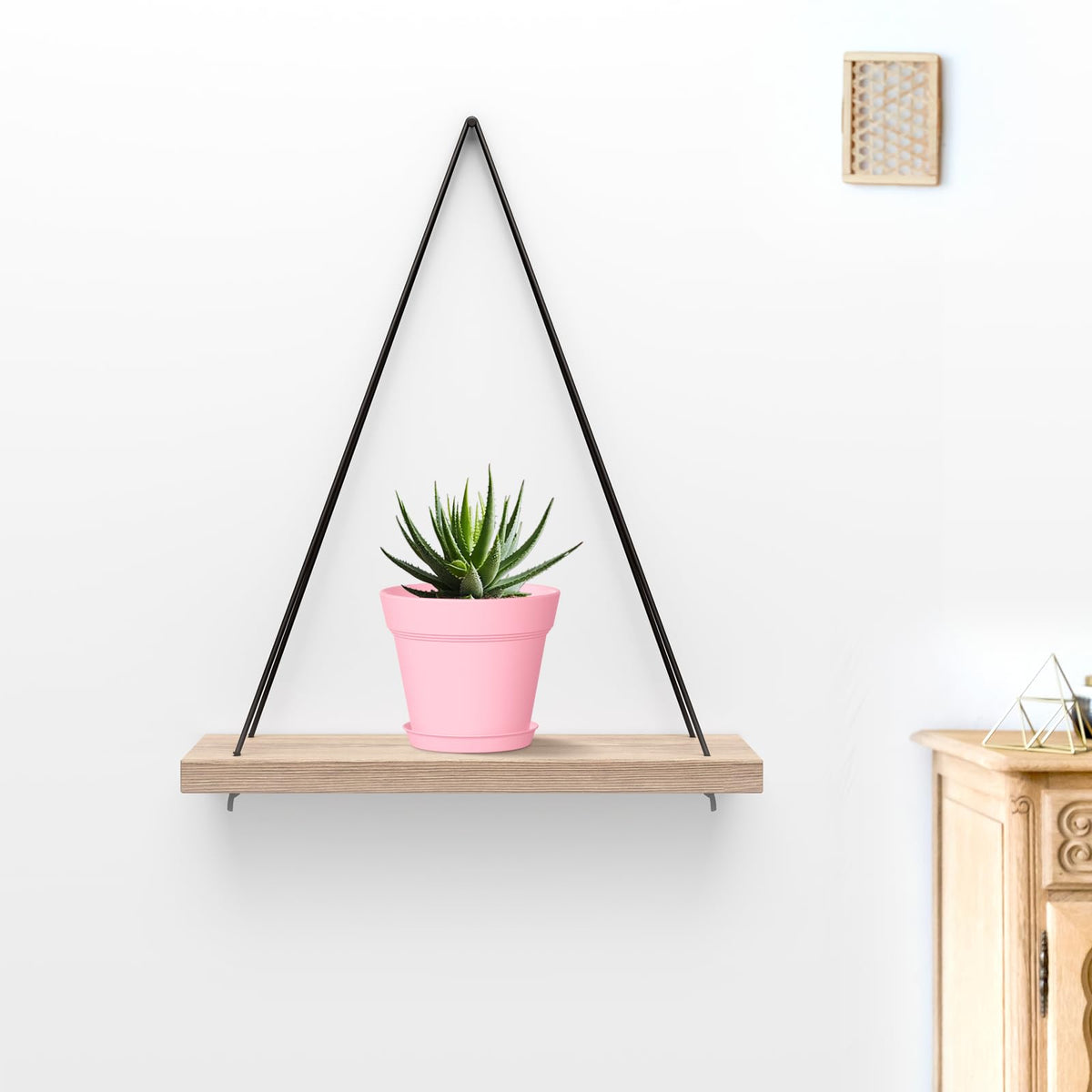 WSMKSZ indoor/outdoor pots are durable, lightweight, and easy to move.