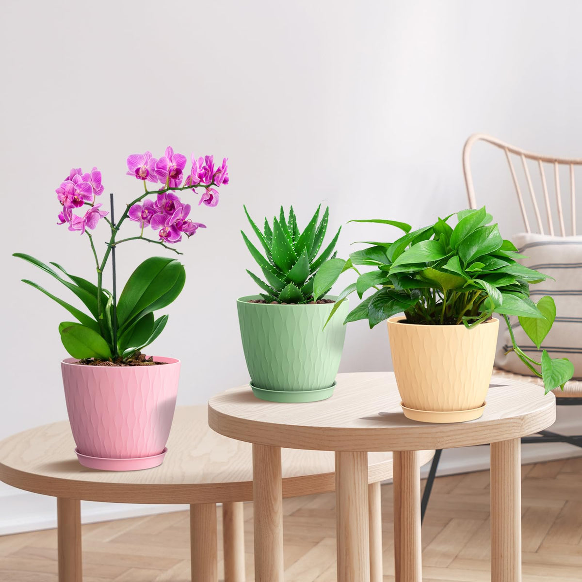 Indoor plant display set by WSMKSZ suitable for balconies and desks.