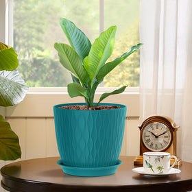 WSMKSZ indoor plant display using a compact pot set