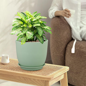 WSMKSZ 10-inch large pot lightweight and easy to move.