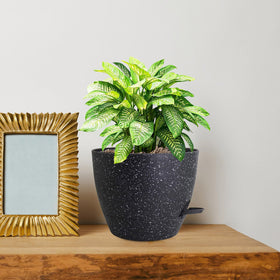 WSMKSZ lightweight durable plastic pots simplify rearranging plant displays