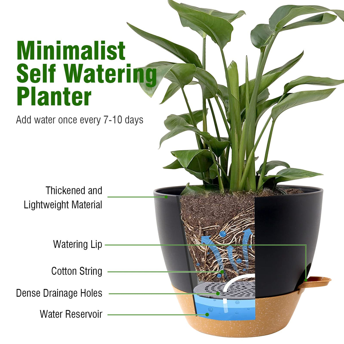 WSMKSZ lightweight and durable plastic pot for easy repositioning.