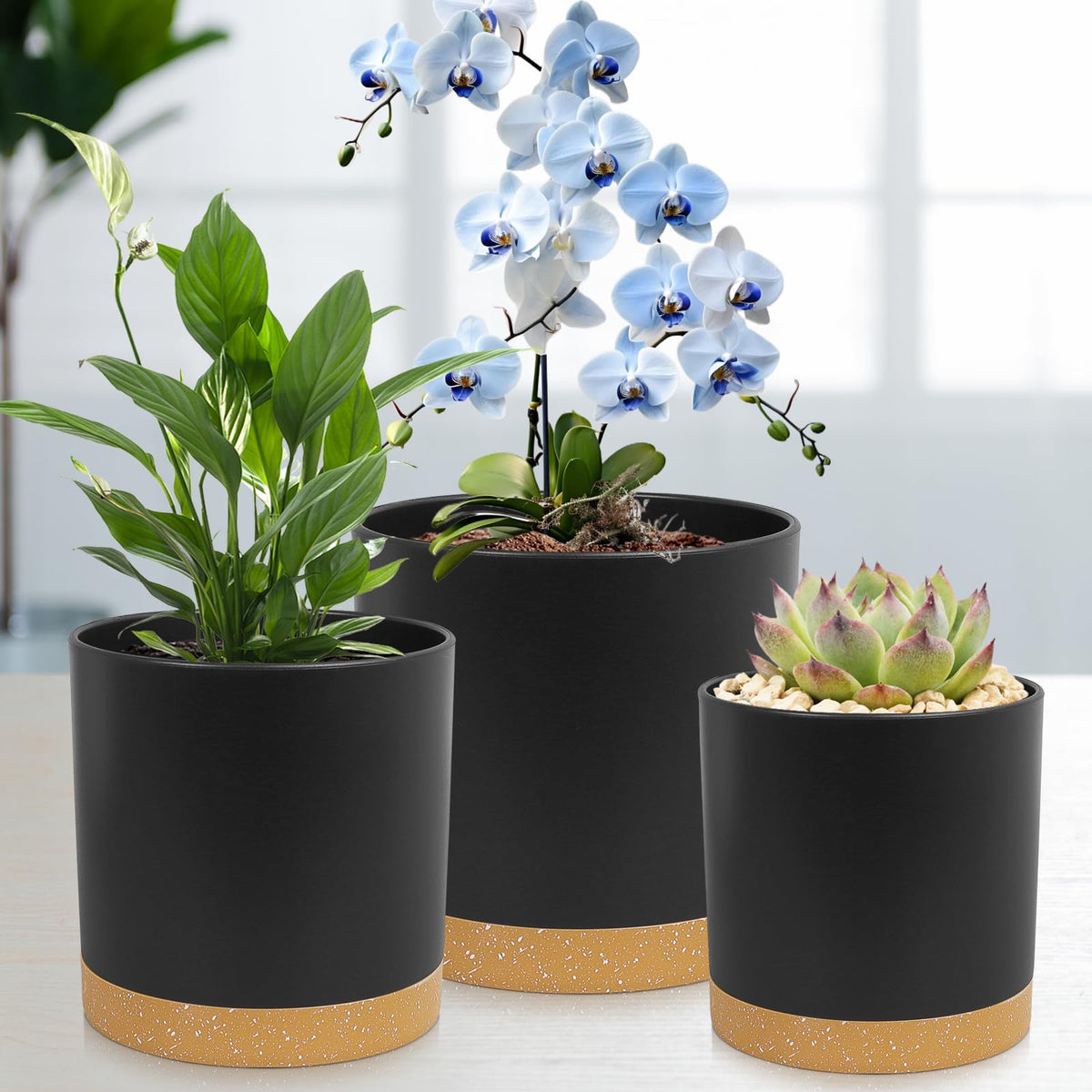 WSMKSZ Nordic-style matte frosted surface adds modern appeal to any plant corner.
