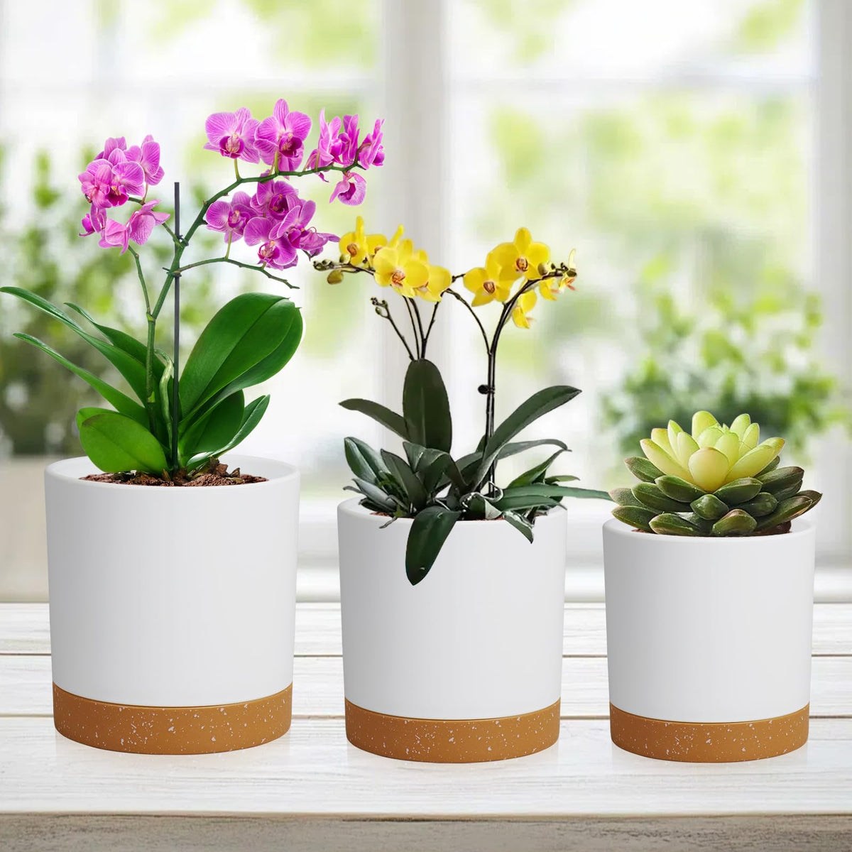 WSMKSZ circular pots with drainage holes prevent overwatering and help plant health.