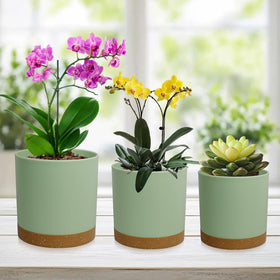 WSMKSZ Nordic-style planter set enhances indoor and outdoor decor.
