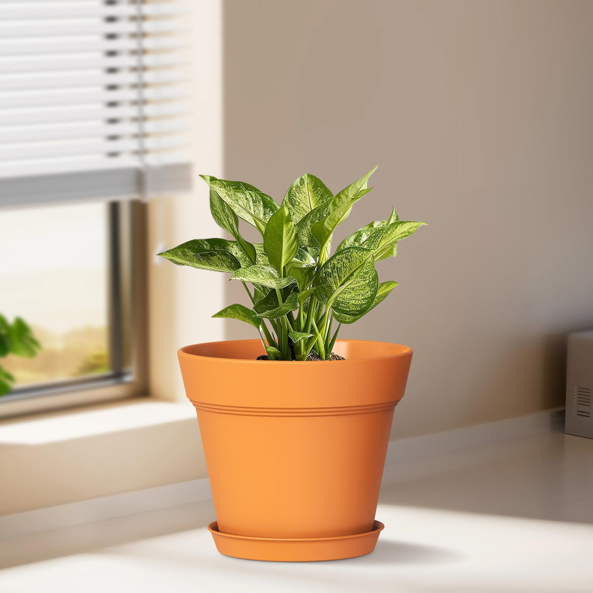 WSMKSZ nursery pots 6-pack, perfect for starting herbs indoors.