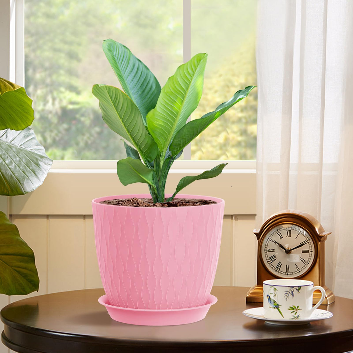 WSMKSZ nursery pots provide drainage and lightweight handling for easy moving.