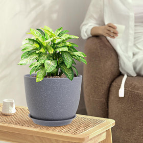 WSMKSZ 9in speckled grey planter ideal for easy rearrangement