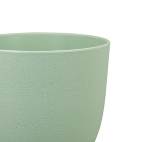 WSMKSZ planter with saucer to catch excess water.