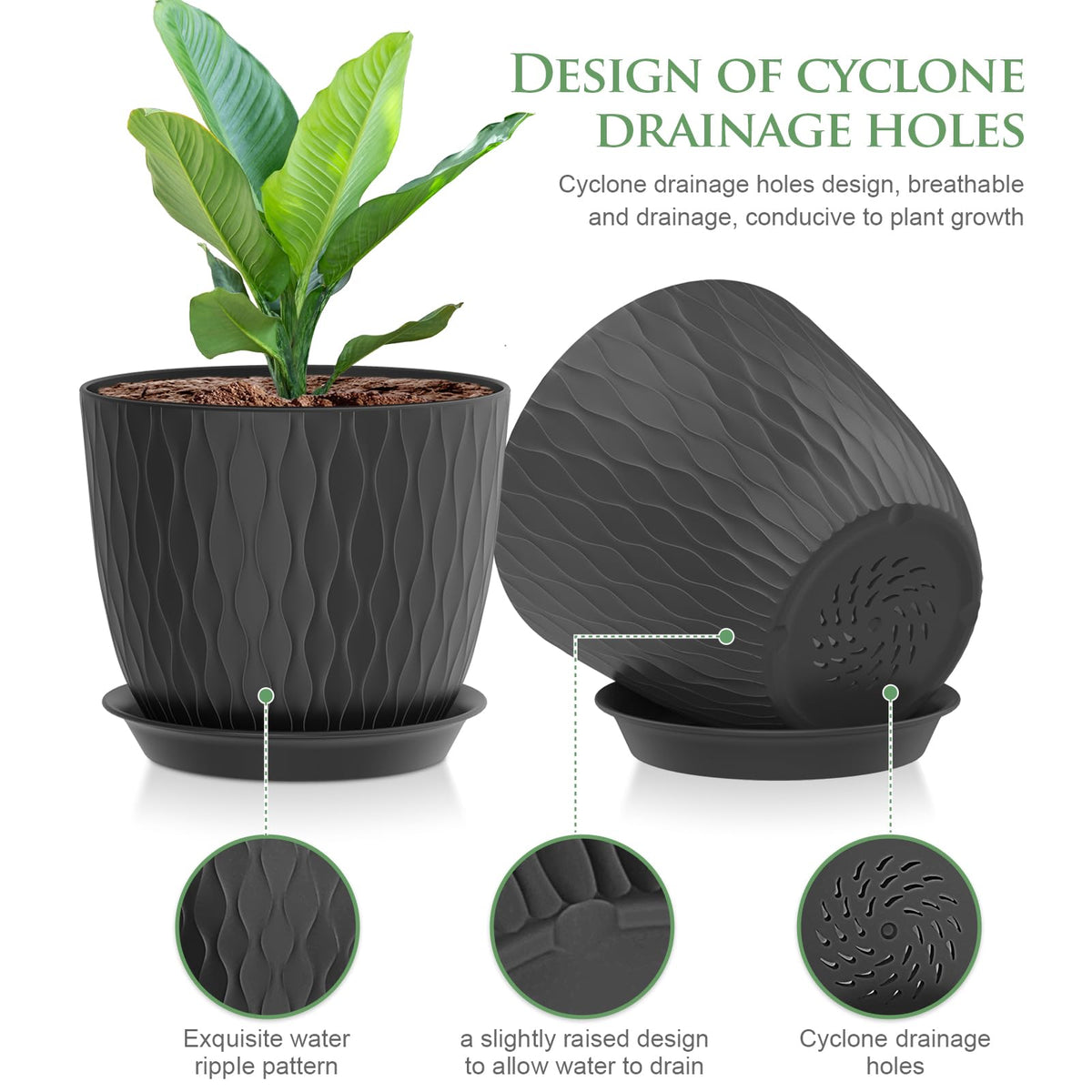 WSMKSZ pot with drainage holes and saucers for better watering.