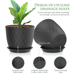 WSMKSZ pot with drainage holes and saucers for better watering.