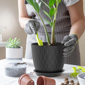 WSMKSZ raised-design pot aids water drainage and roots health.