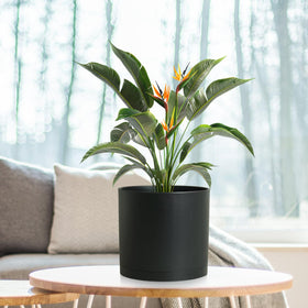 WSMKSZ frosted finish adds scratch resistance and style to the planter